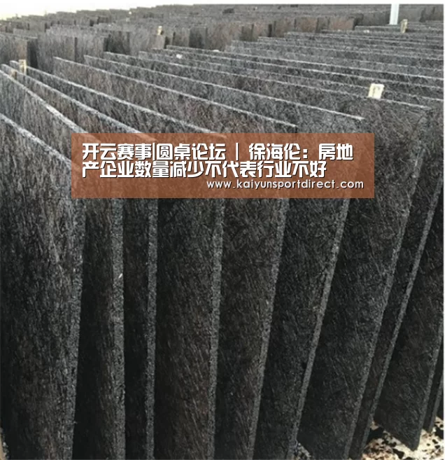 开云赛事|圆桌论坛 | 徐海伦:房地产企业数量减少不代表行业不好(图3) 开云入口