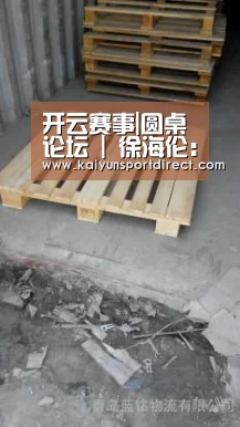 开云赛事|圆桌论坛 | 徐海伦:房地产企业数量减少不代表行业不好(图2) 开云赛程