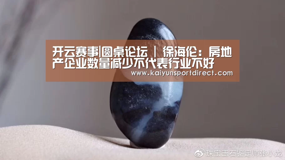 开云赛事|圆桌论坛 | 徐海伦:房地产企业数量减少不代表行业不好(图4) 开云入口