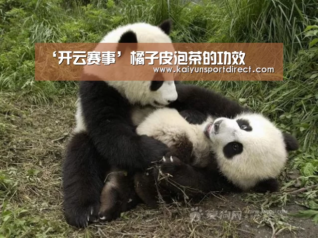 ‘开云赛事’橘子皮泡茶的功效