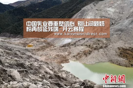 中国乳业要重塑信心 别让问题奶粉再苟延残喘-开云赛程(图2) 开云入口