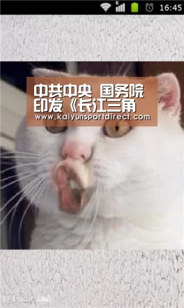 开云赛事