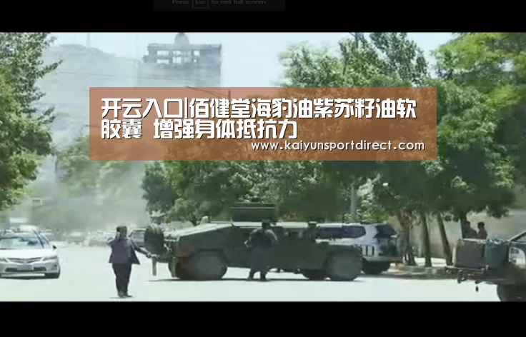 开云入口|佰健堂海豹油紫苏籽油软胶囊 增强身体抵抗力(图1) 开云入口