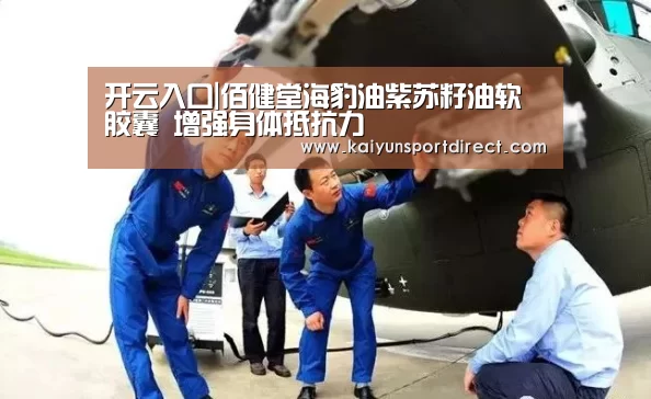 开云入口|佰健堂海豹油紫苏籽油软胶囊 增强身体抵抗力(图3) 开云入口