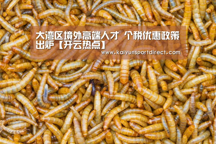 大湾区境外高端人才 个税优惠政策出炉【开云热点】(图3) 开云入口