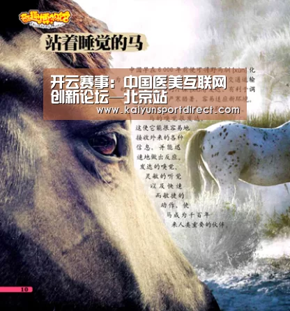 开云热点